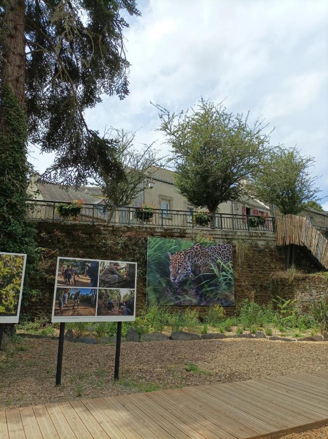Appartement Panoramique Floral Centre Festival Photo à La Gacilly Extérieur photo
